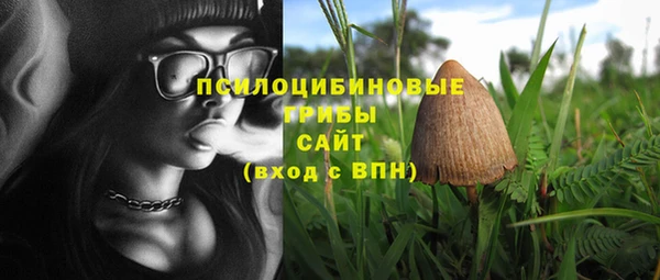 индика Алзамай
