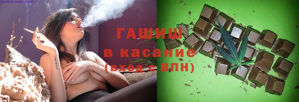 индика Алзамай