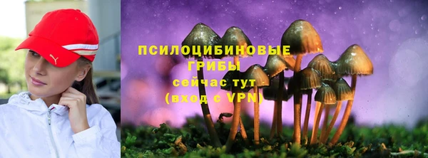 индика Алзамай