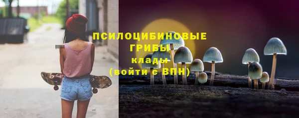 крисы Армянск