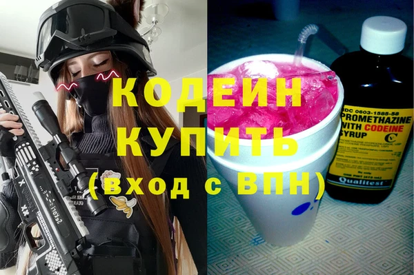 индика Алзамай