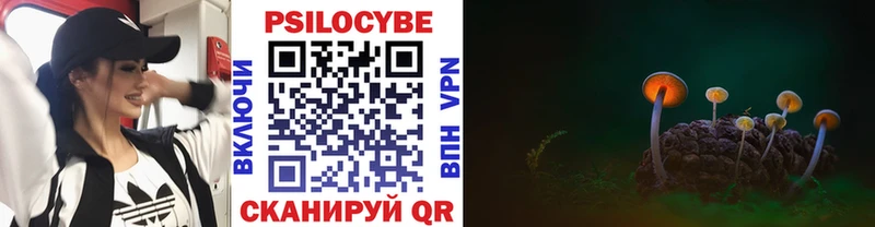 Псилоцибиновые грибы MAGIC MUSHROOMS  цена   Жирновск 